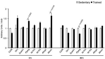 Exercise Training Favorably Modulates Gene and Protein Expression That Regulate Arterial Cholesterol Content in CETP Transgenic Mice